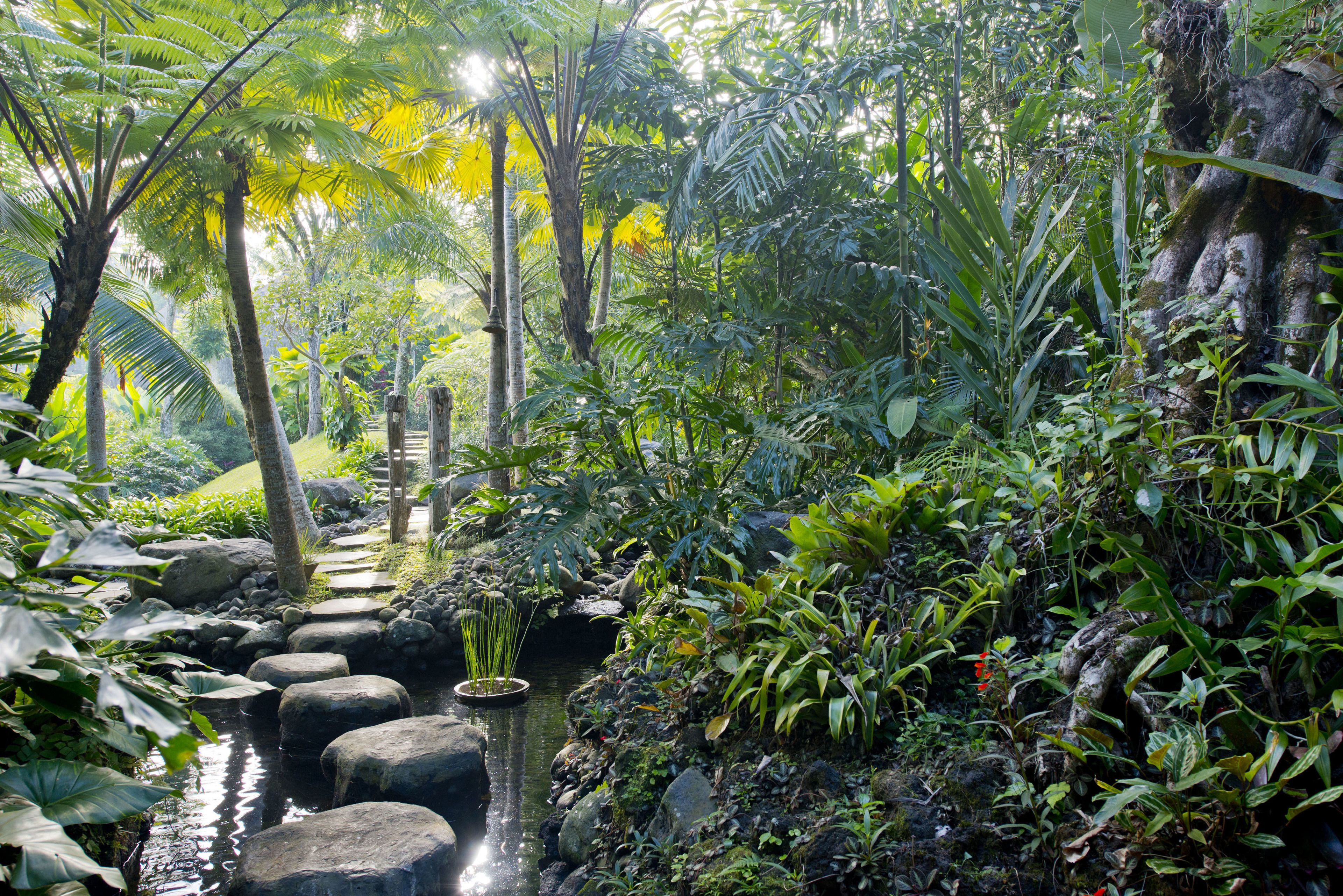 Photo - Adiwana Dara Ayu Villas