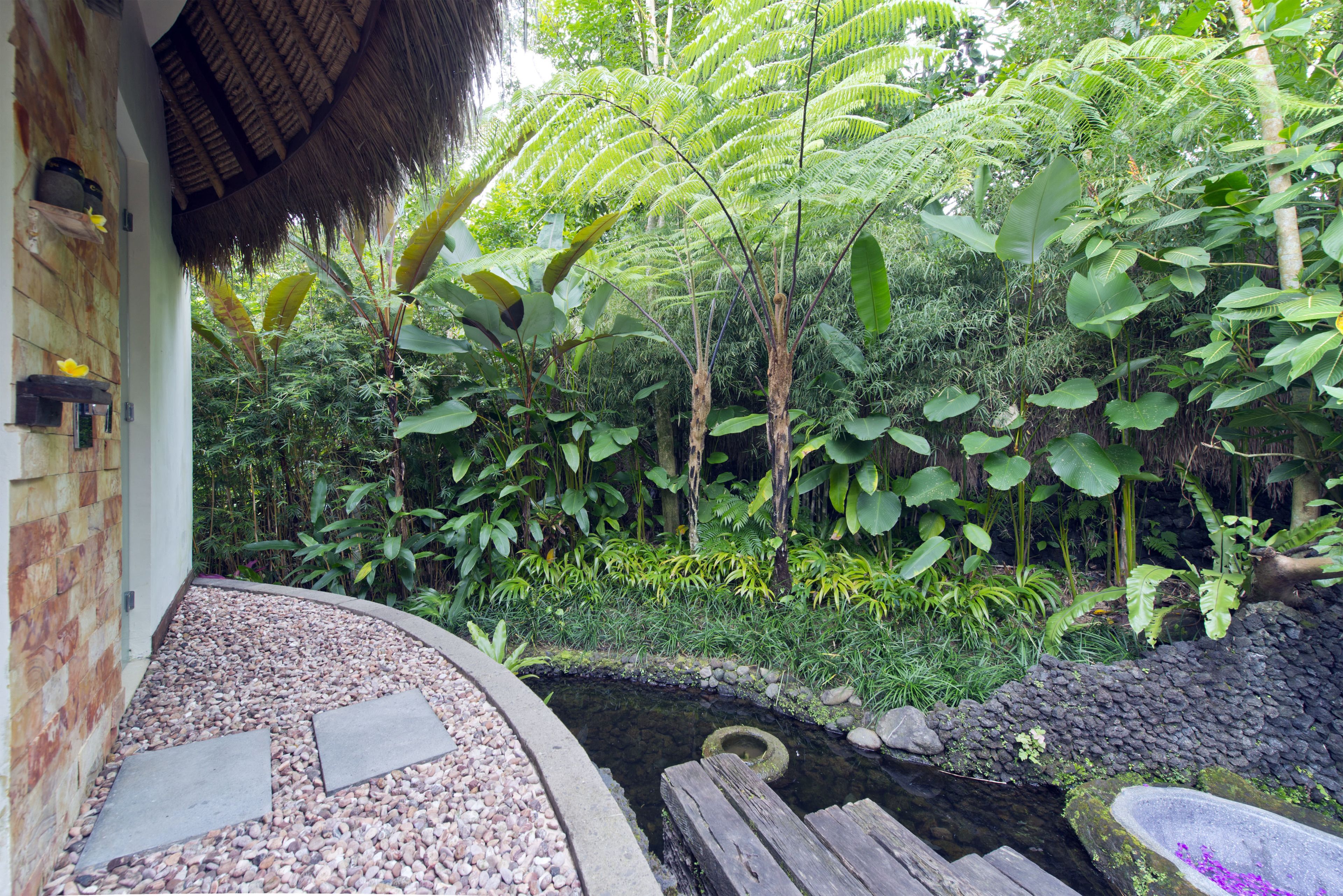 Un jardin luxuriant avec un sentier en pierre, un petit étang et une végétation tropicale dense.
