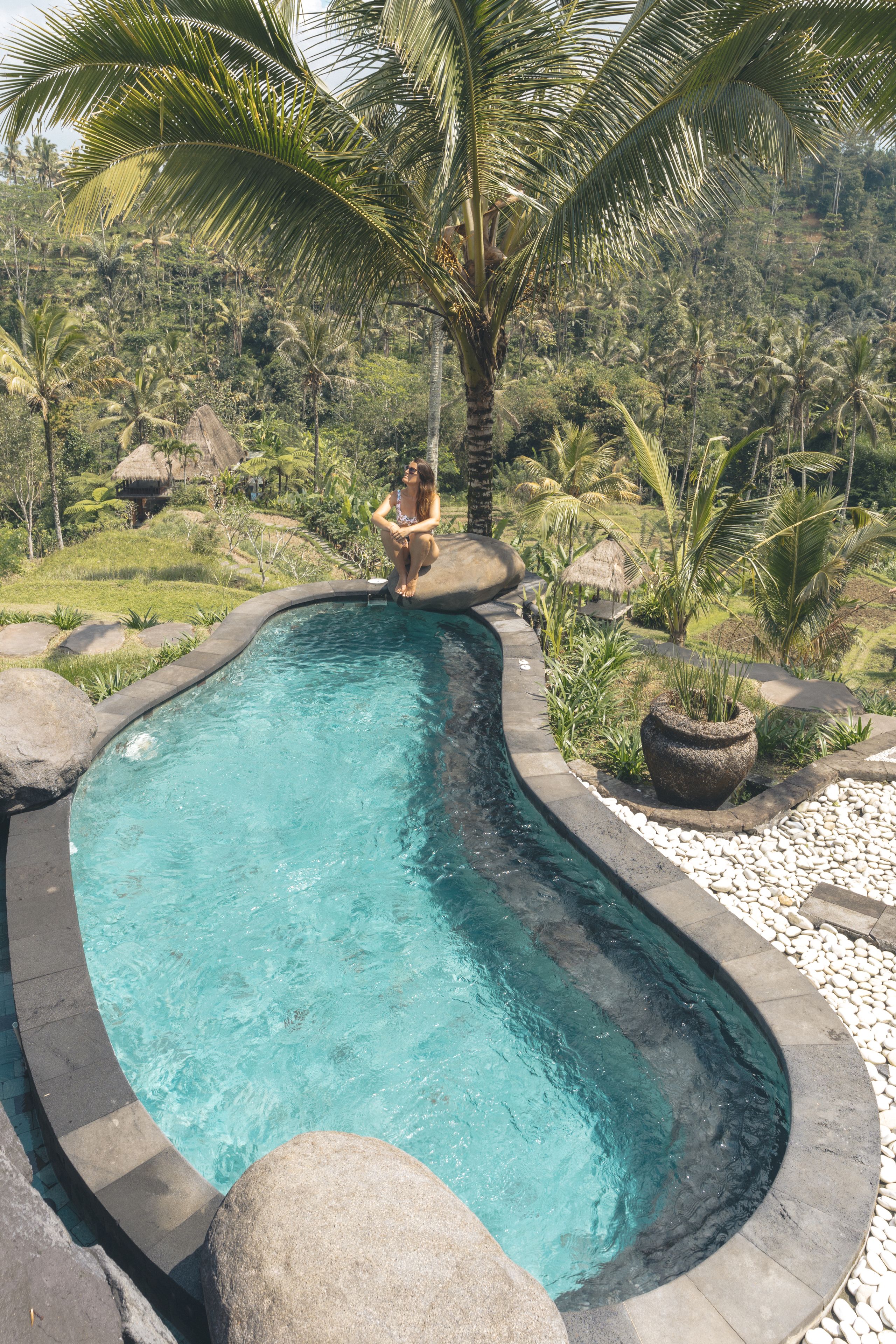 Una piscina curvada con agua cristalina, rodeada de rocas y palmeras, ubicada en un paisaje exuberante y verde.