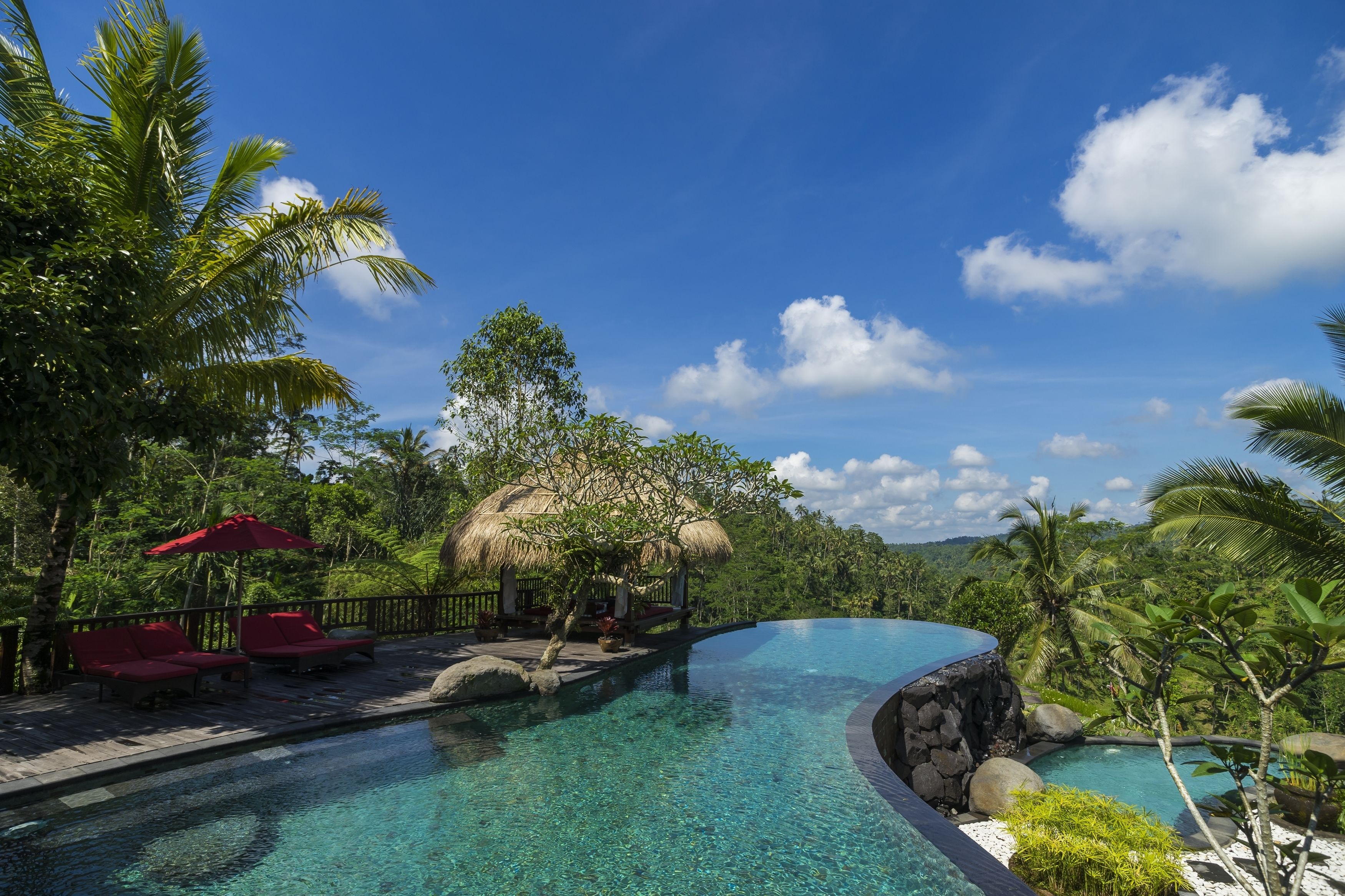 Une magnifique piscine à débordement d’un bleu profond, agrémentée de chaises longues rouges et d’un petit abri au toit de chaume, le tout entouré d’une végétation luxuriante et de palmiers.