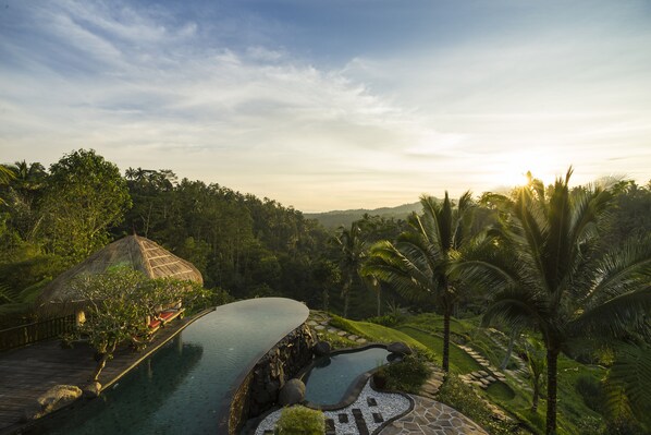 A tropical resort with a swimming pool, a thatched-roof hut, and lush greenery. - Adiwana Dara Ayu (Payangan)