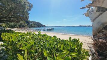 Uma praia com um píer de madeira que se estende para a água, cercada por vegetação exuberante e colinas ao fundo.