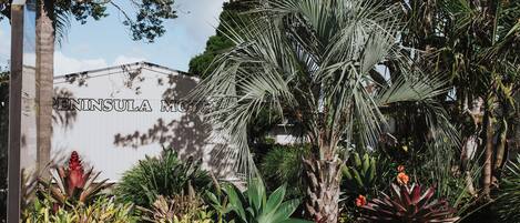 A garden with various tropical plants and a building with the sign "PENINSULA M10".
