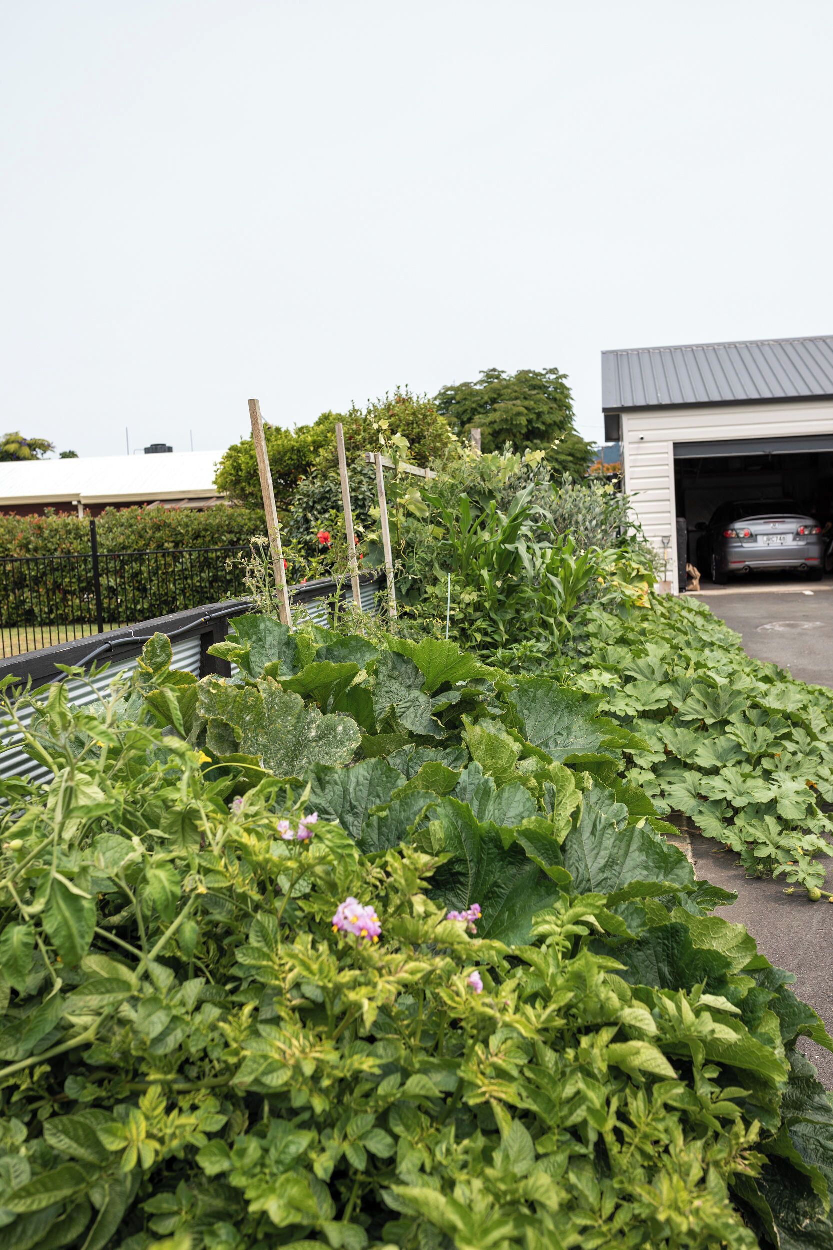 Een tuin met diverse planten en een auto in een garage.