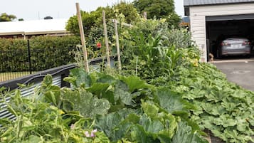 A garden with various plants and a car parked in a garage.