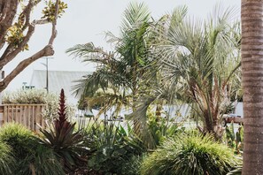 Front of property - Peninsula Motel (Whitianga)