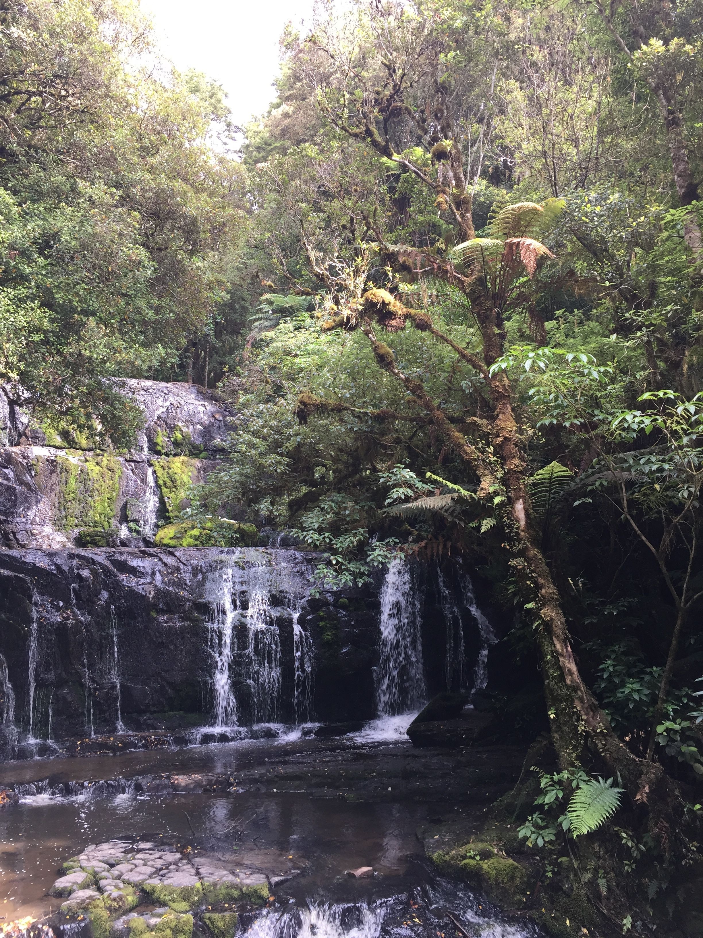 A waterfall in a forested area with moss-covered rocks and dense foliage.