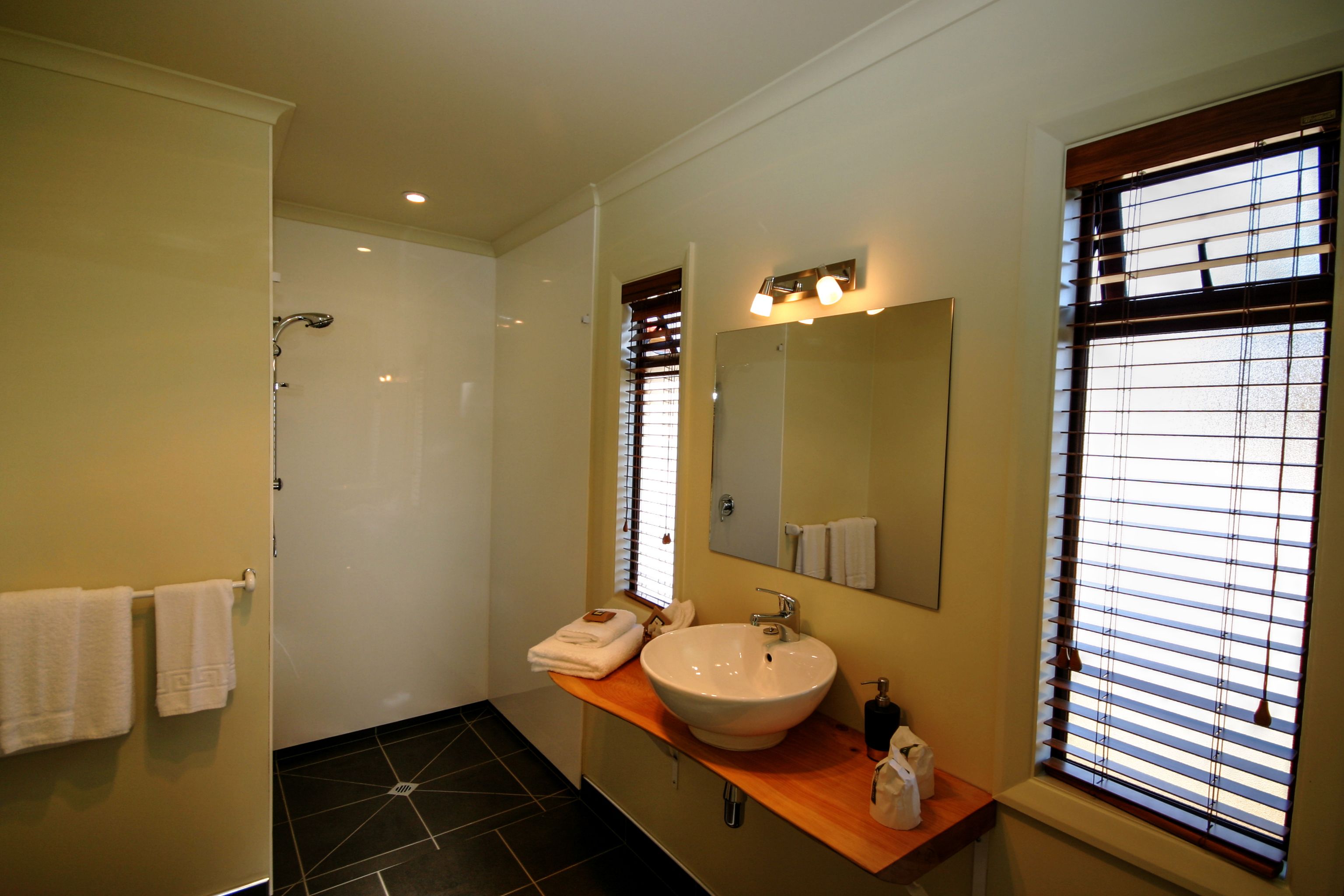 free toiletries, hair dryer, towels, soap