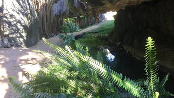 A natural cave entrance with a sandy path leading into it, surrounded by ferns and greenery.