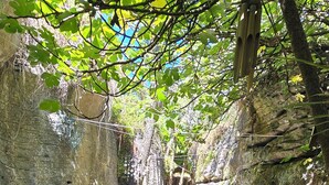 A pathway lined with pebbles and surrounded by greenery and stone walls. - The Rocks Chalets (Takaka)