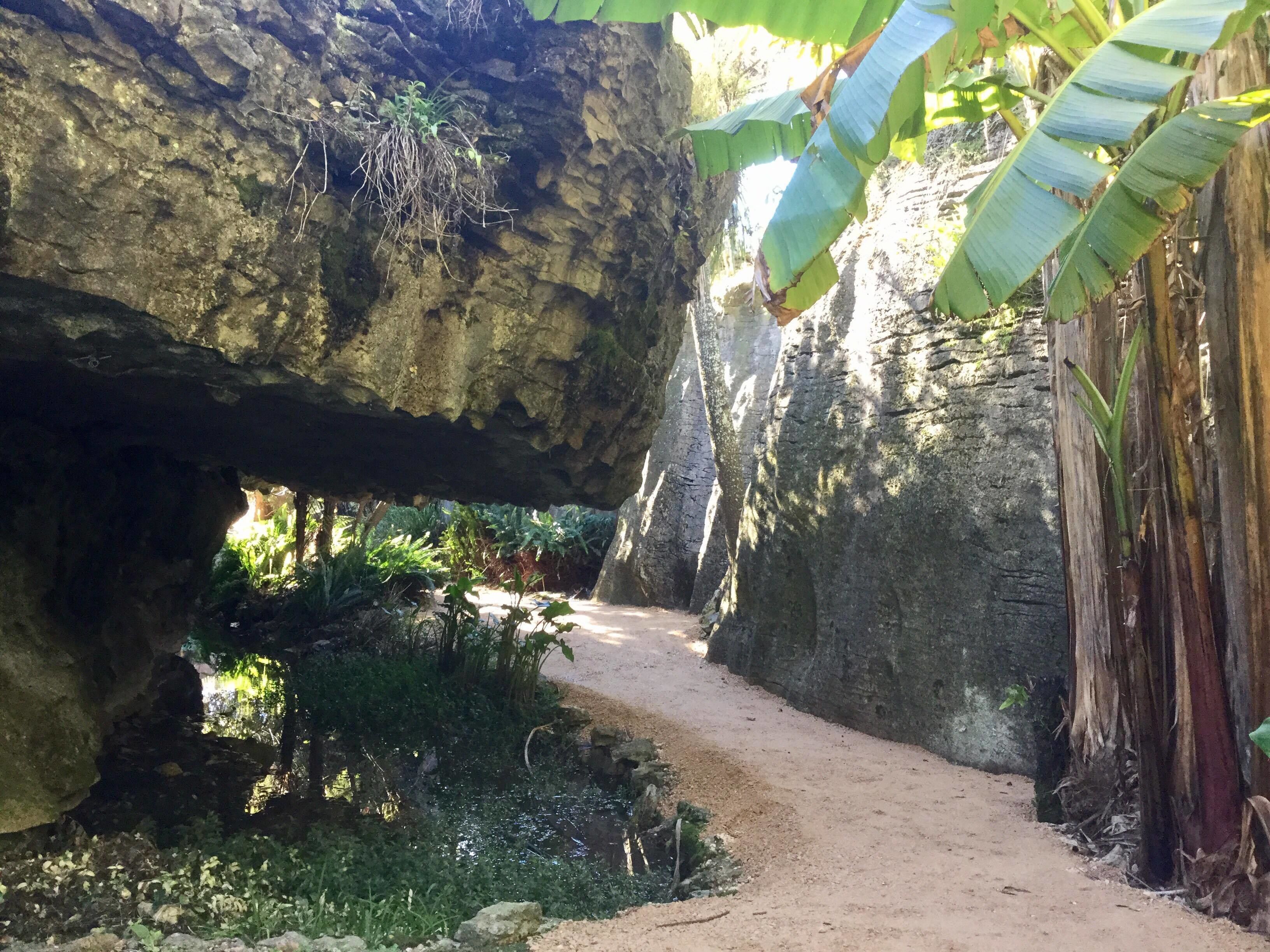 A narrow dirt path flanked by large rock formations and dense vegetation, including banana leaves.