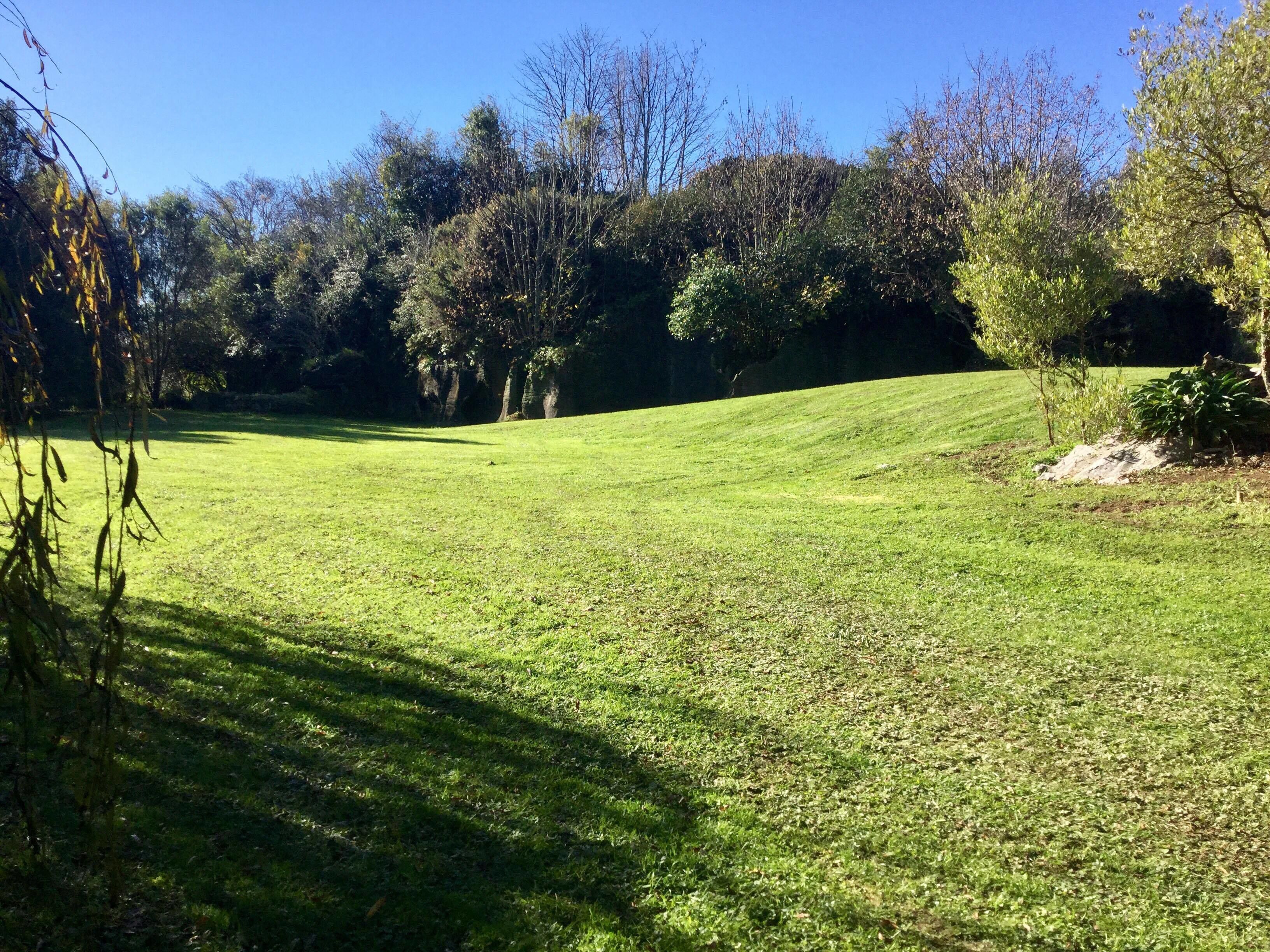A well-maintained grassy area with trees in the background.