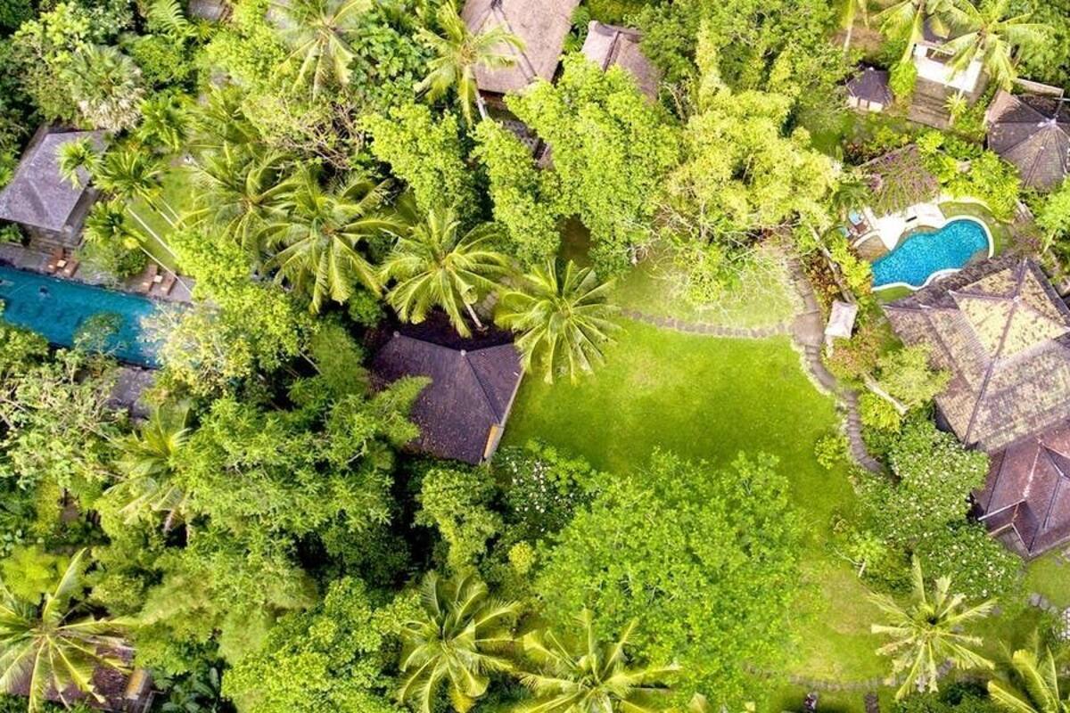 An aerial view of a resort with multiple swimming pools surrounded by lush greenery and palm trees.