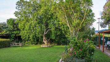 Jardin