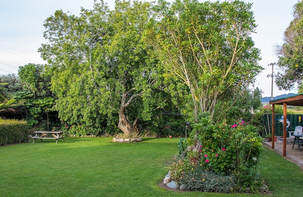 Jardin