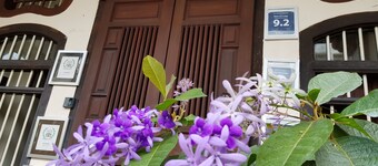 Betel Nut Lodge - Adult Only