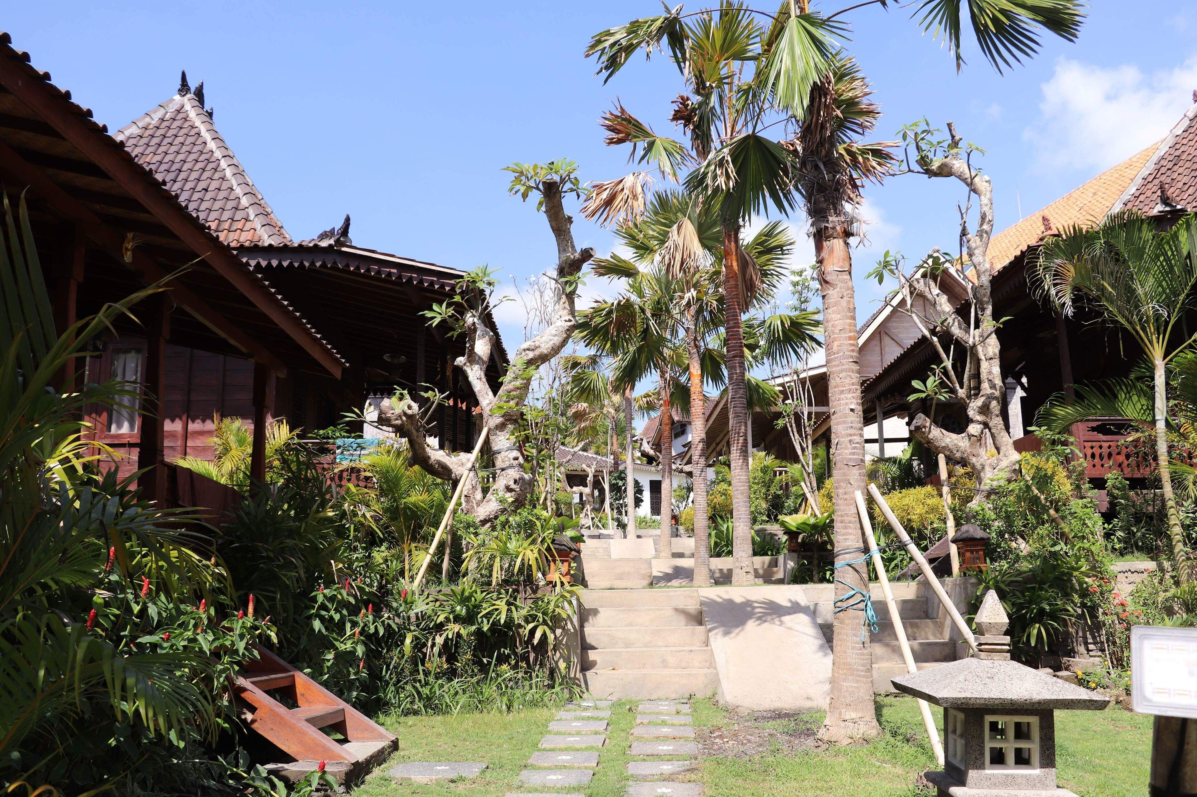 A traditional courtyard with a stone staircase leading to a wooden structure, surrounded by palm trees and tropical plants.