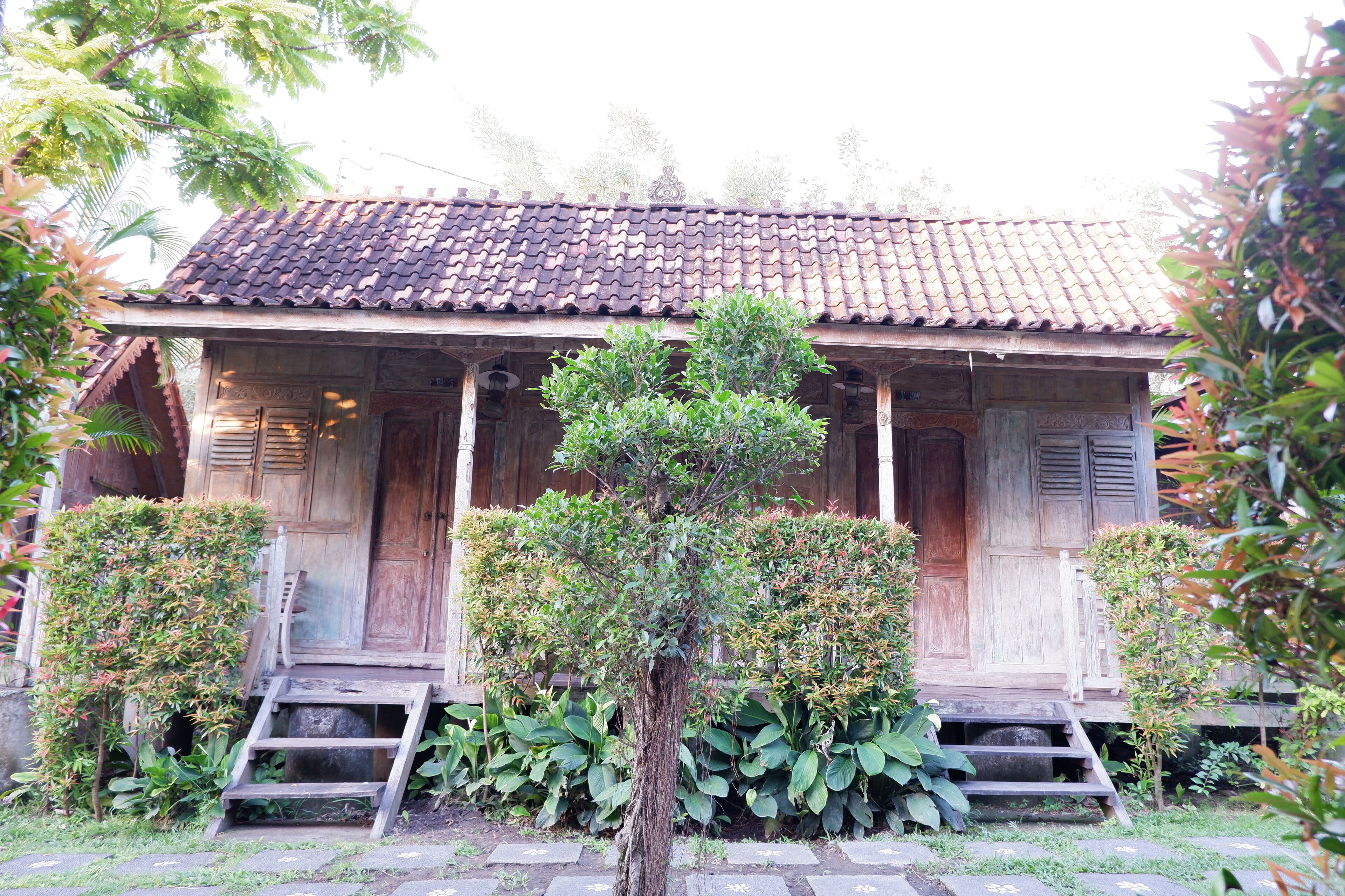 A traditional wooden house with a tiled roof, surrounded by lush greenery and a small tree in the center.
