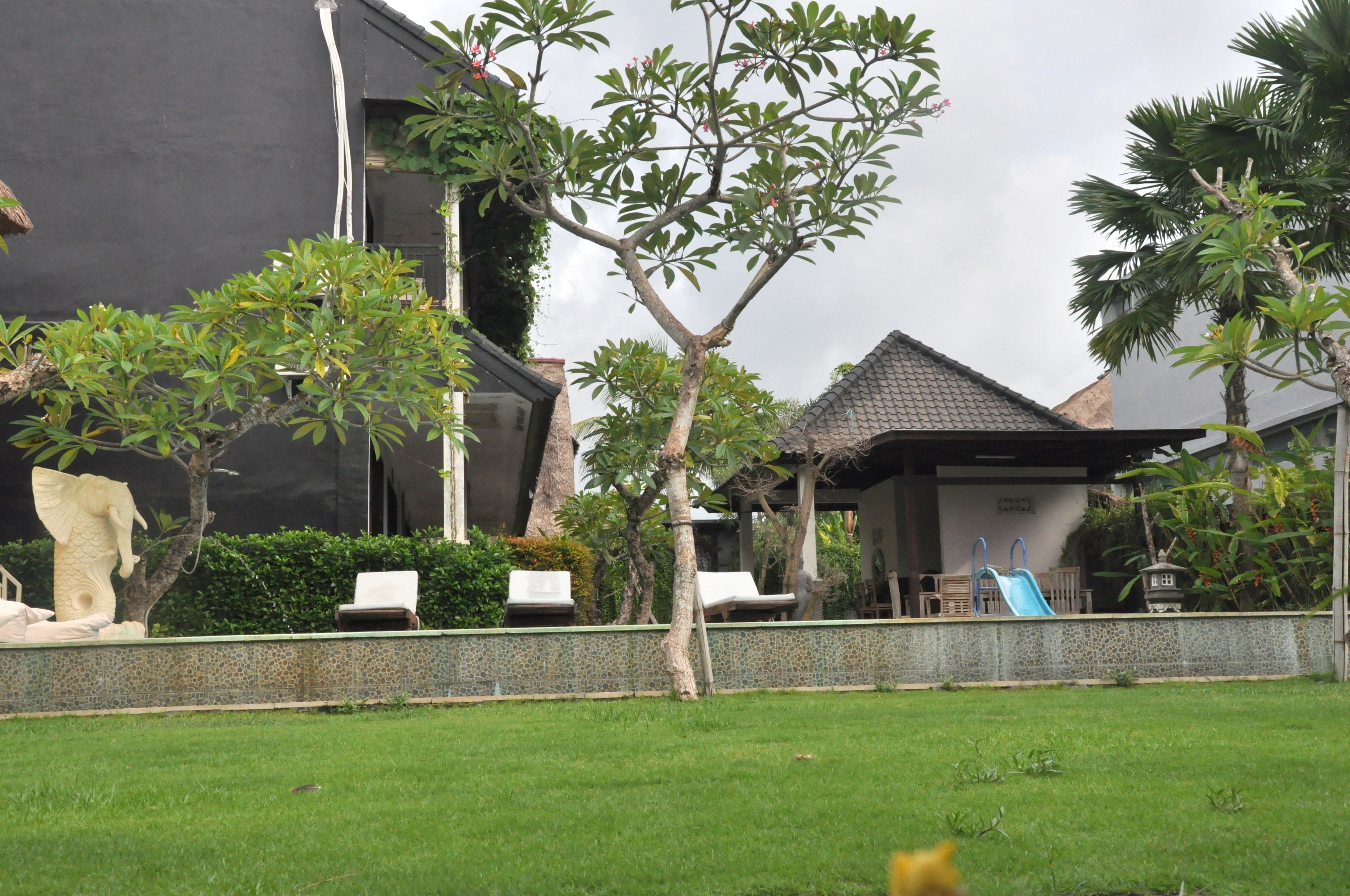 A modern house with a tiled roof, a swimming pool, and a statue of an elephant.