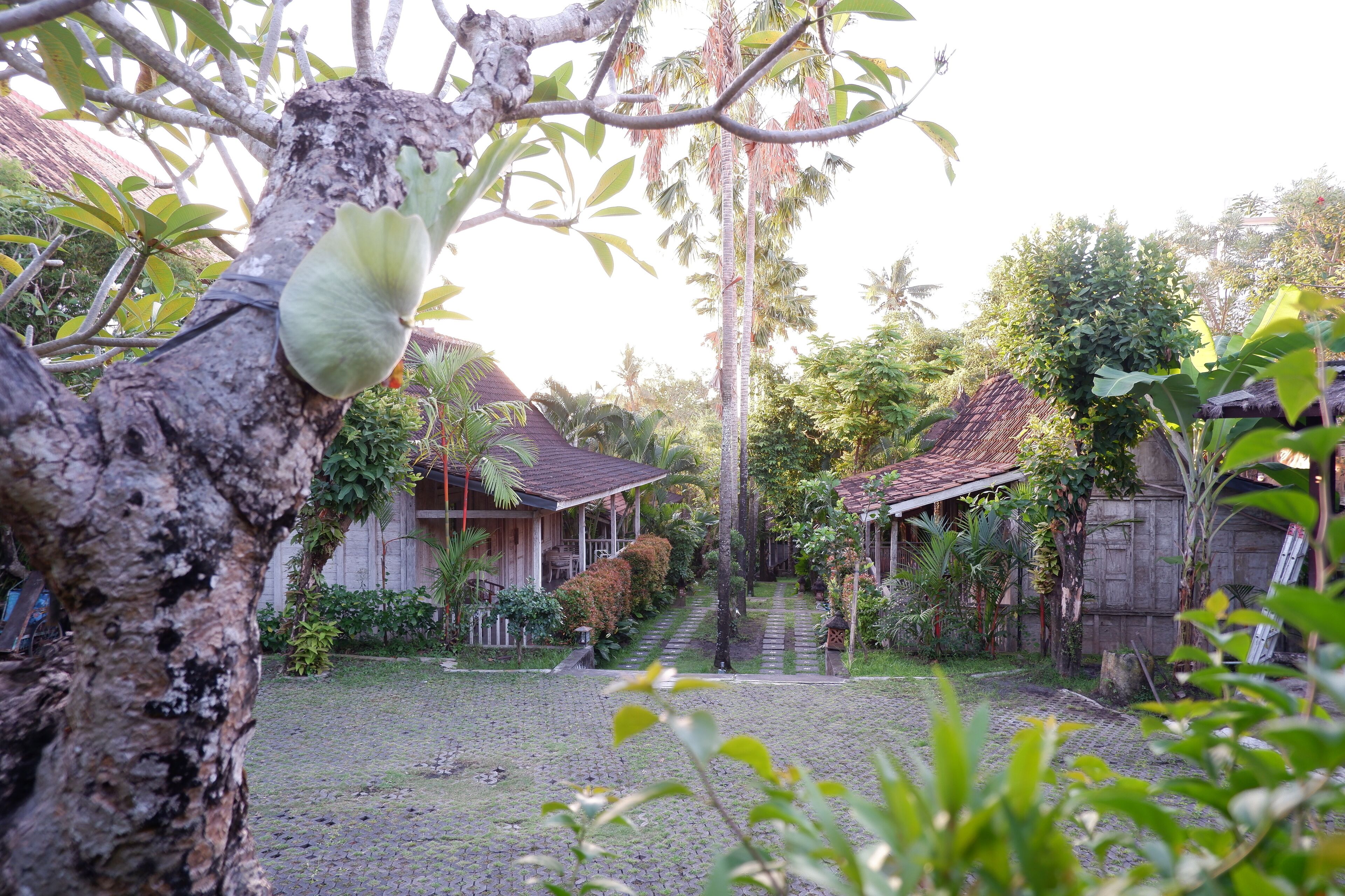 A courtyard with a cobblestone path leading to a wooden house with a tiled roof.
