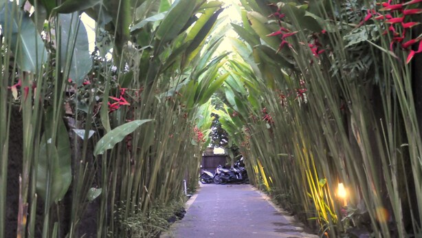 A pathway flanked by tall plants and red flowers, leading to a parked motorcycle. - Kubudiuma Villas (Pererenan)