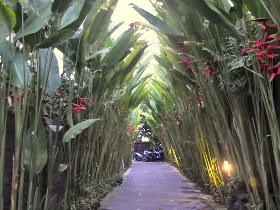 Entrada (vista interna)