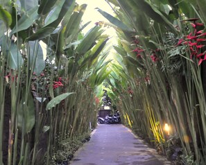 A pathway flanked by tall plants and red flowers, leading to a parked motorcycle. - Kubudiuma Villas (Pererenan)