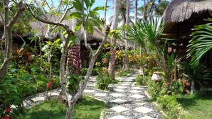 Vue sur le jardin