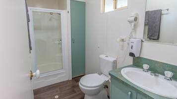 Un baño con inodoro, lavabo, ducha y secador de pelo.