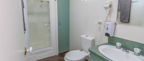 A bathroom with a toilet, a sink, a shower, and a hairdryer.
