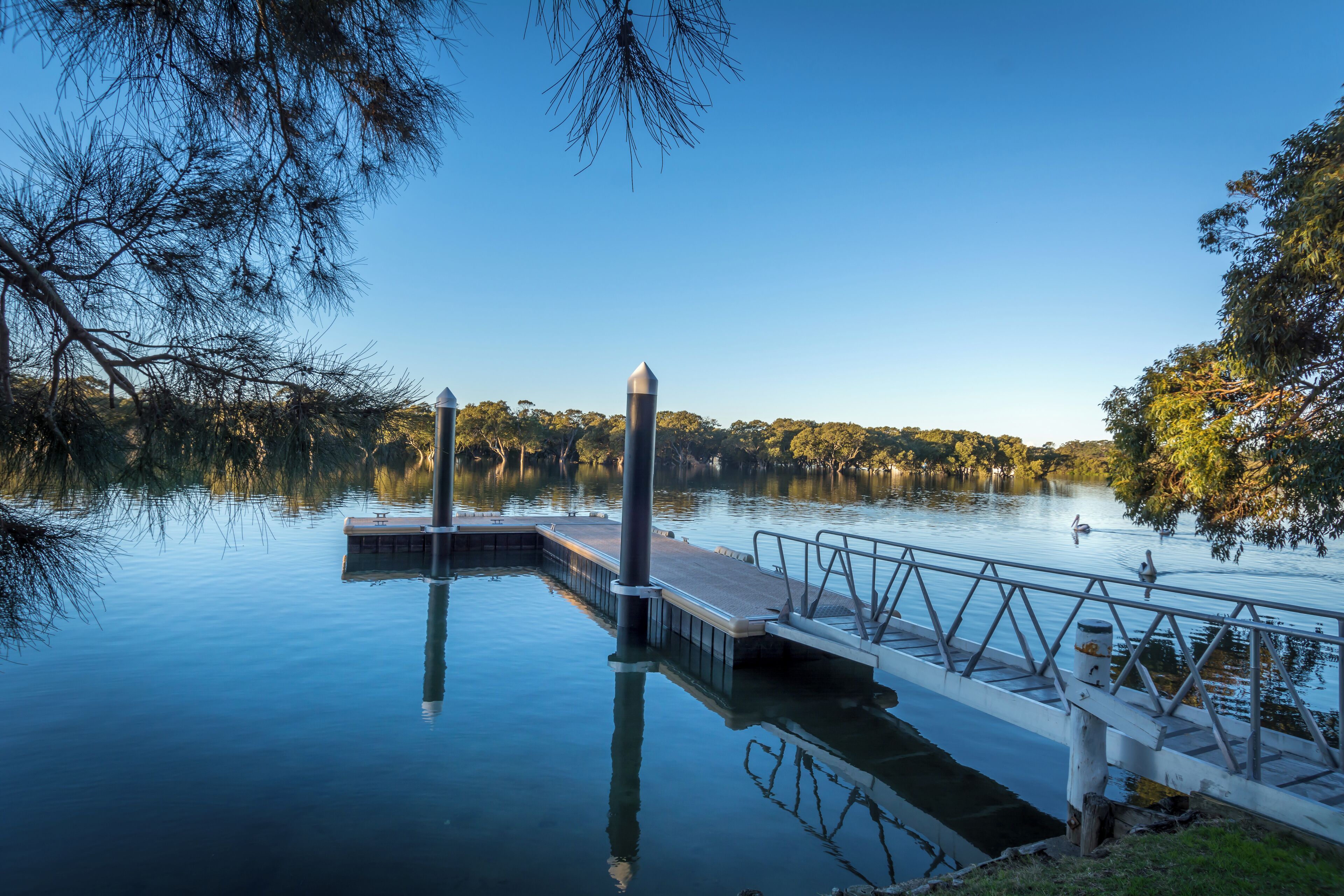 A calm lake with a dock extending into the water, surrounded by trees and clear skies.