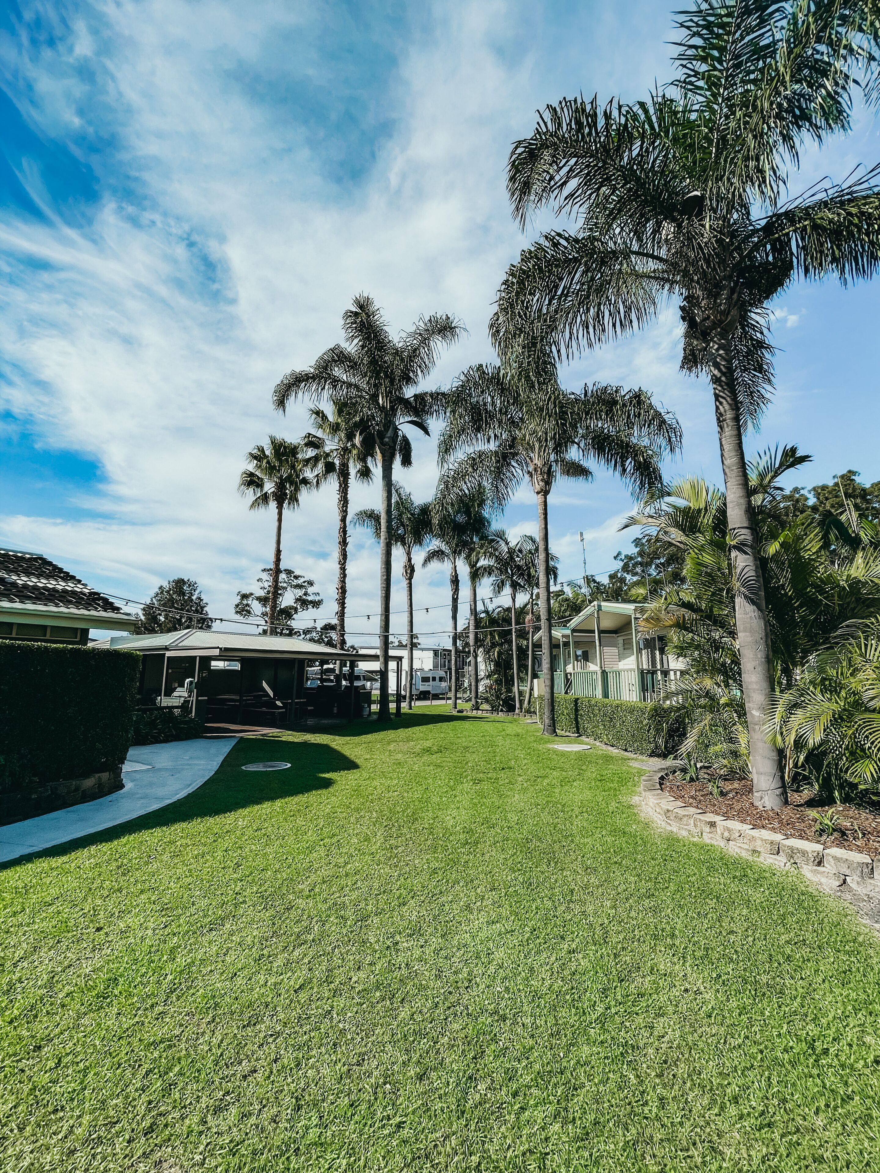 A well-maintained lawn with palm trees, a covered patio area, and a pathway leading to a building.