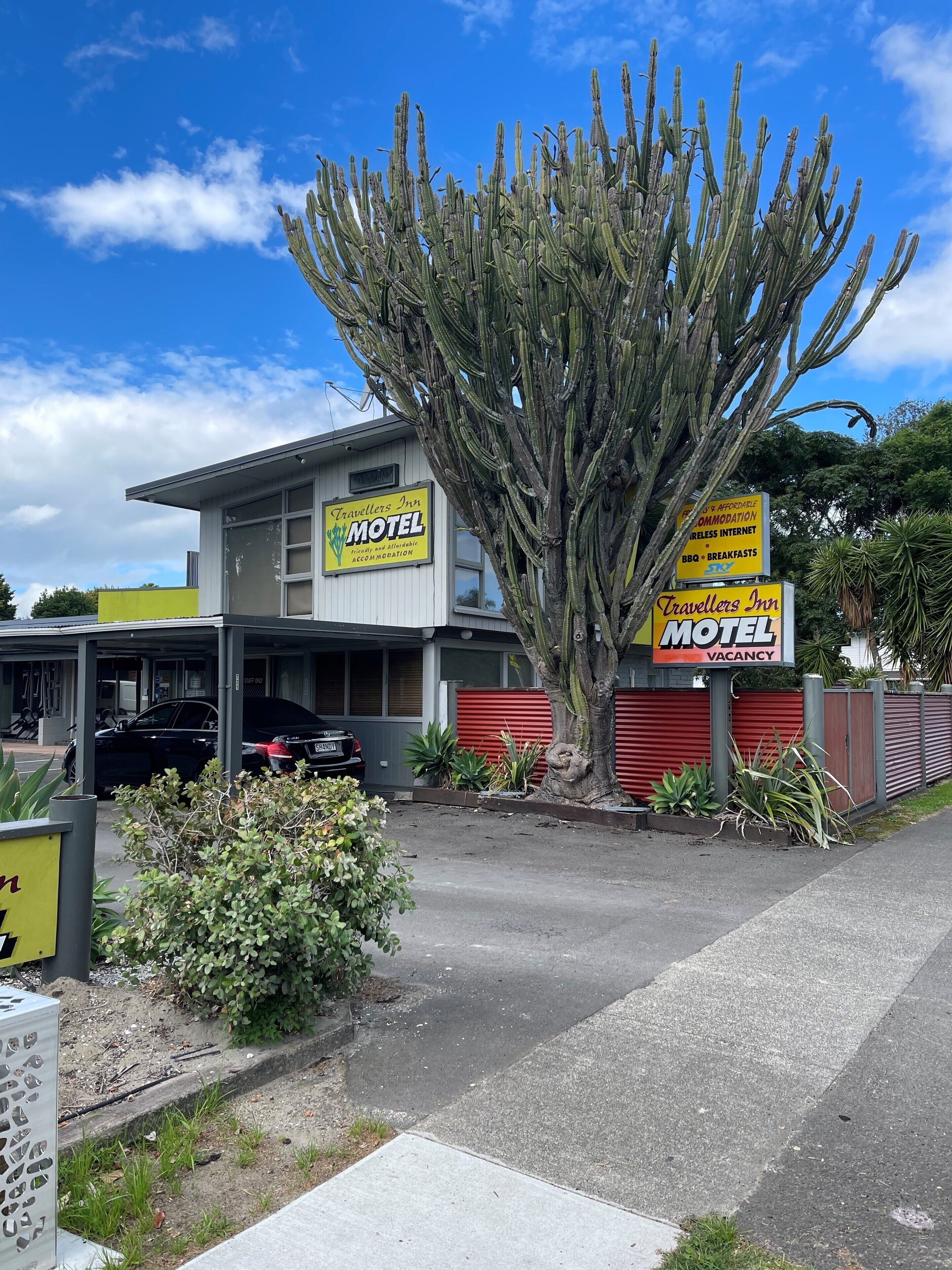 Een motel met een grote cactus voor, een bord met faciliteiten en een parkeerplaats.