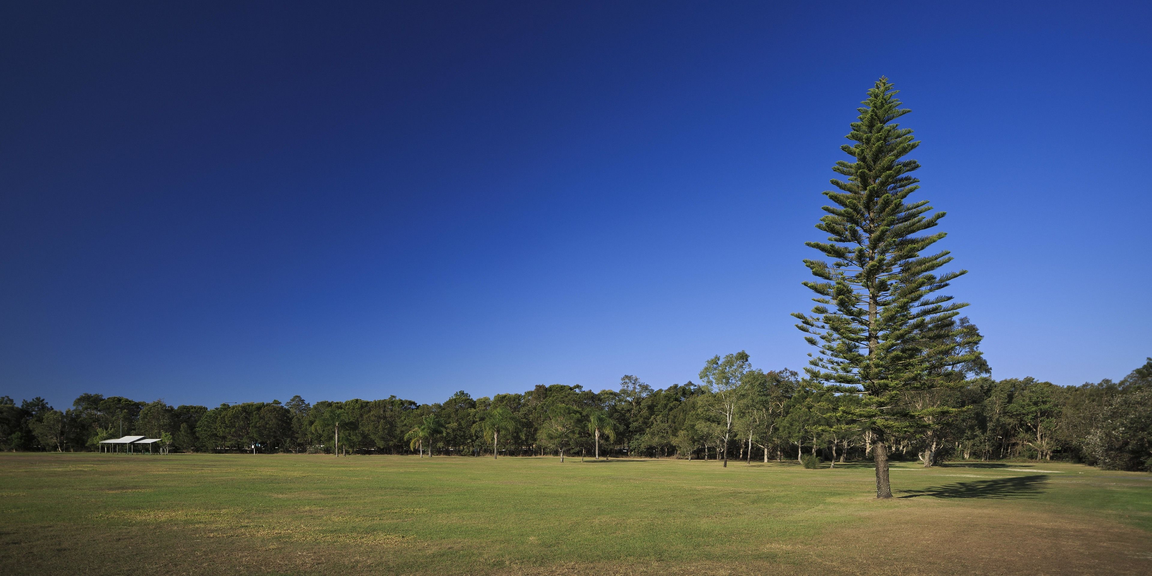 Foto - Ingenia Holidays Kingscliff