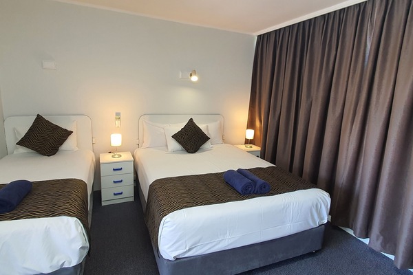 D Twin Room | Hypo-allergenic bedding, iron/ironing board, free WiFi, bed sheets