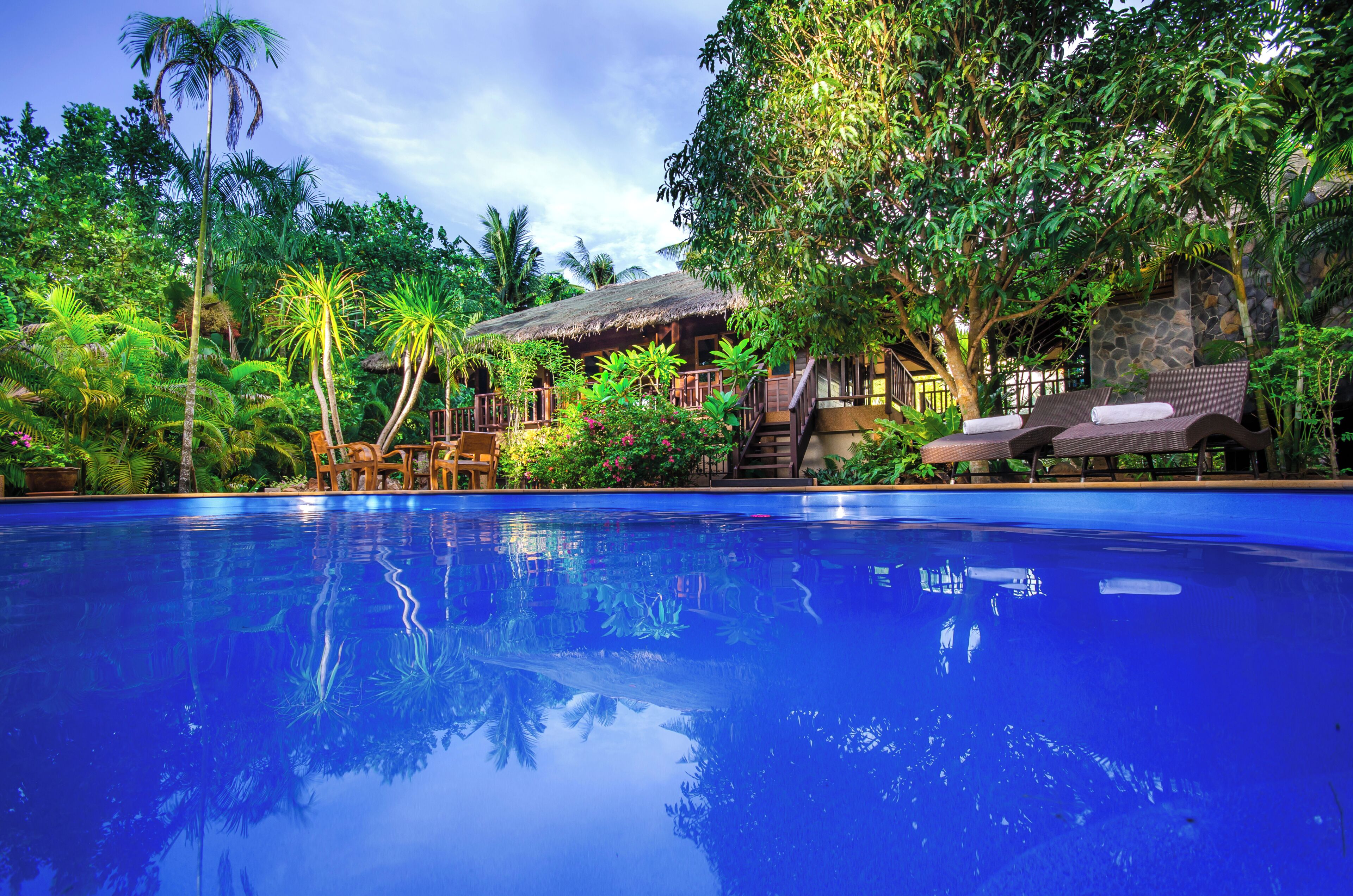 A pool with a reflection of palm trees and a thatched-roof structure surrounded by lush greenery.