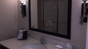 A bathroom with a large mirror, a sink, a towel rack, and a toilet paper dispenser.