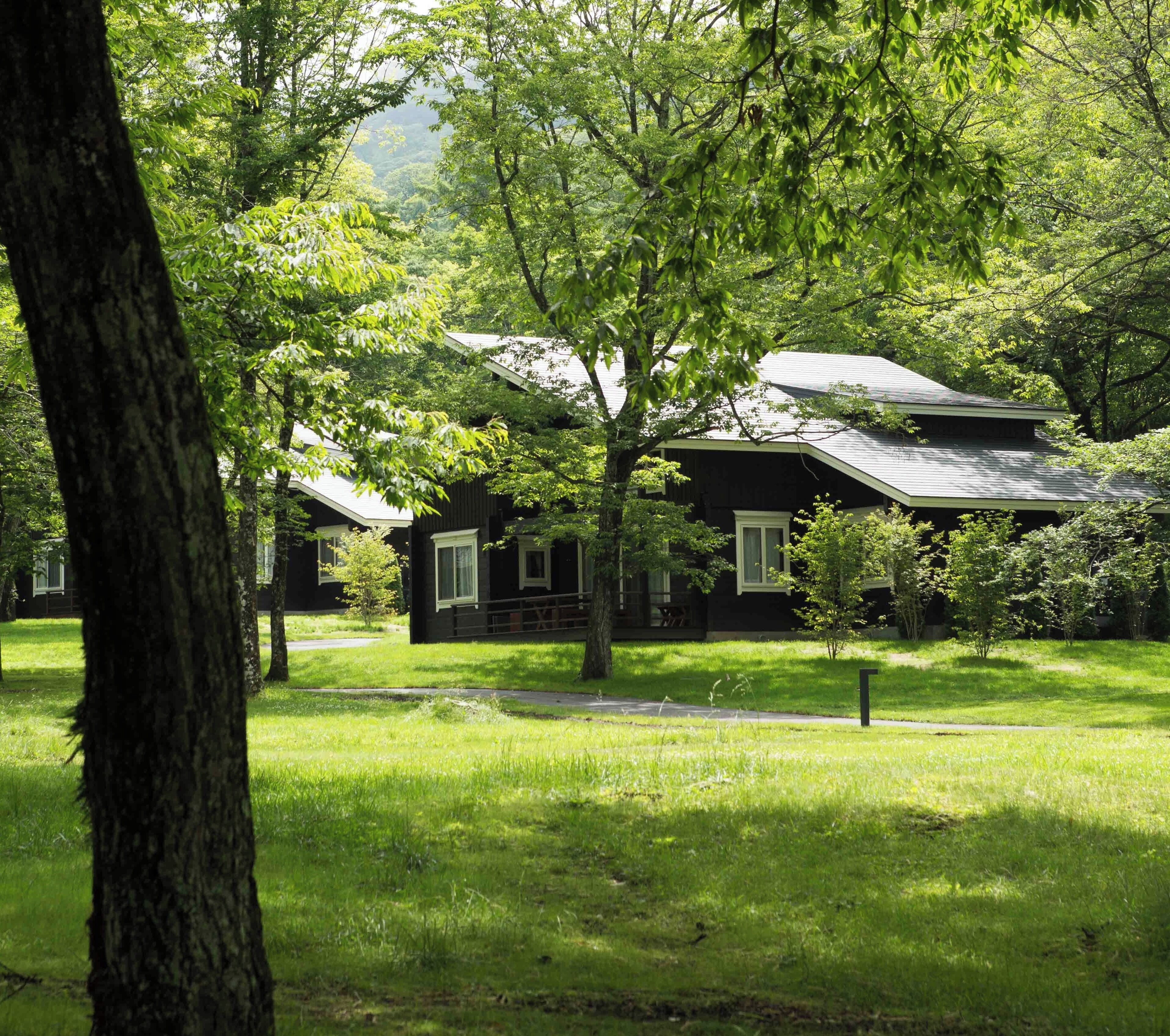 Une rangée de cabanes noires aux bordures blanches, entourées d’arbres et d’herbe d’un vert luxuriant.