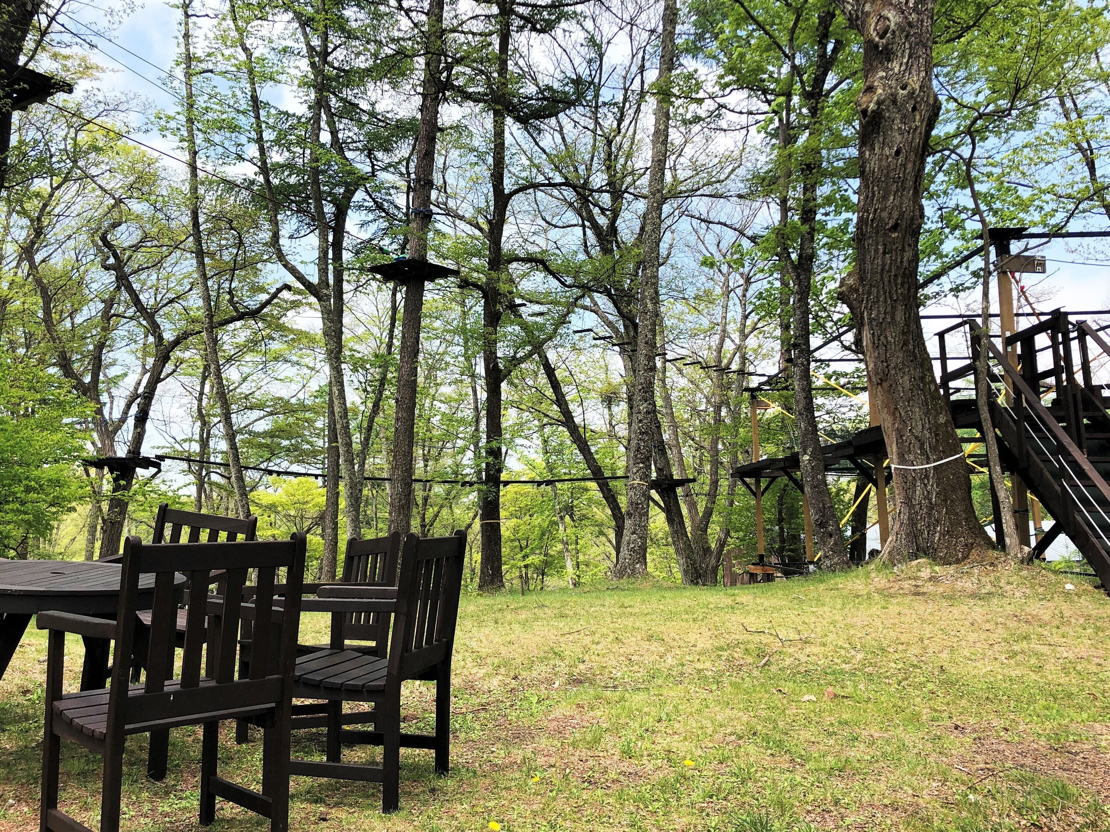 Sân leo dây (xây dựng nhóm)