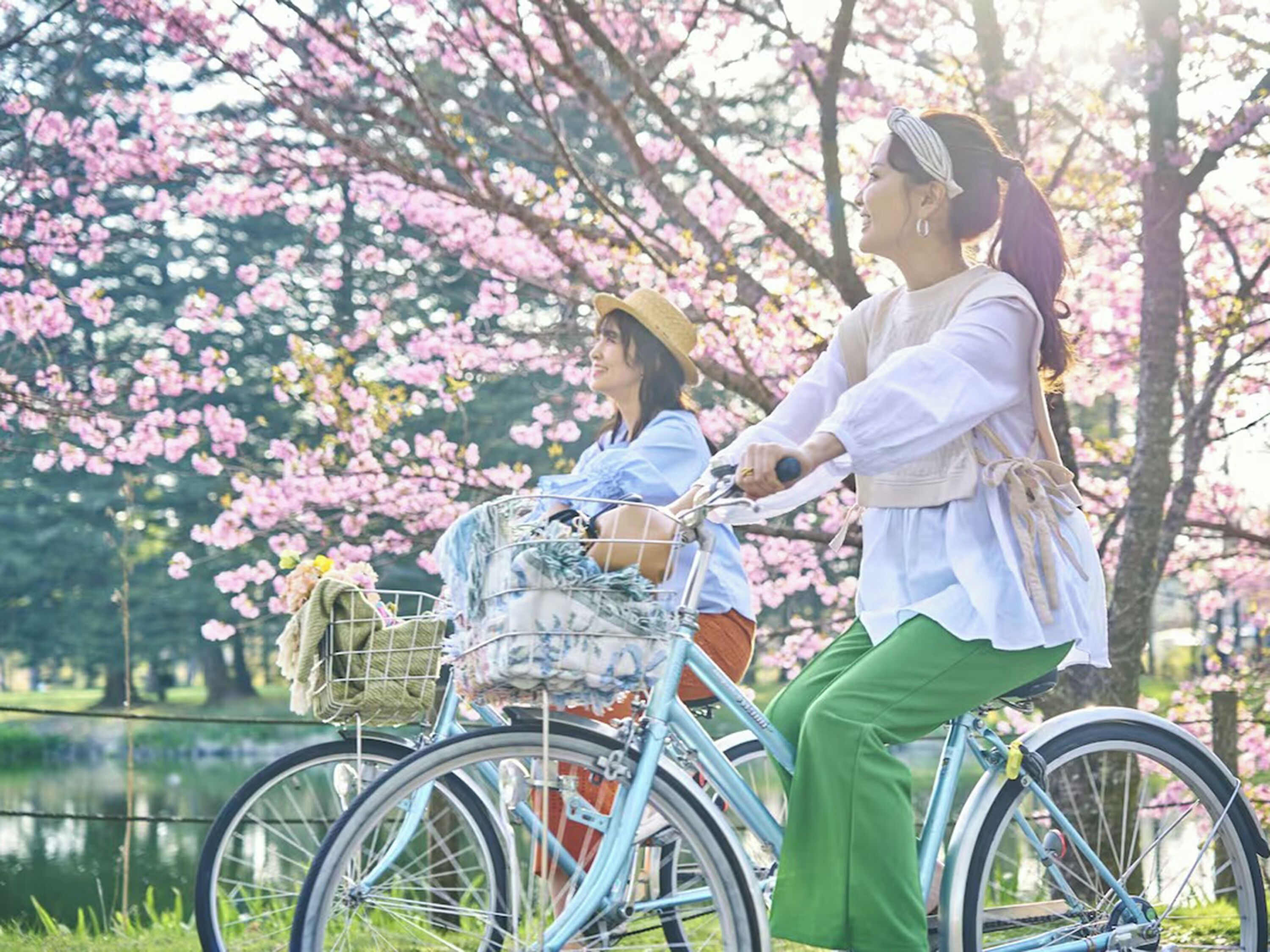 Dos personas andando en bicicleta por un parque lleno de cerezos en flor.