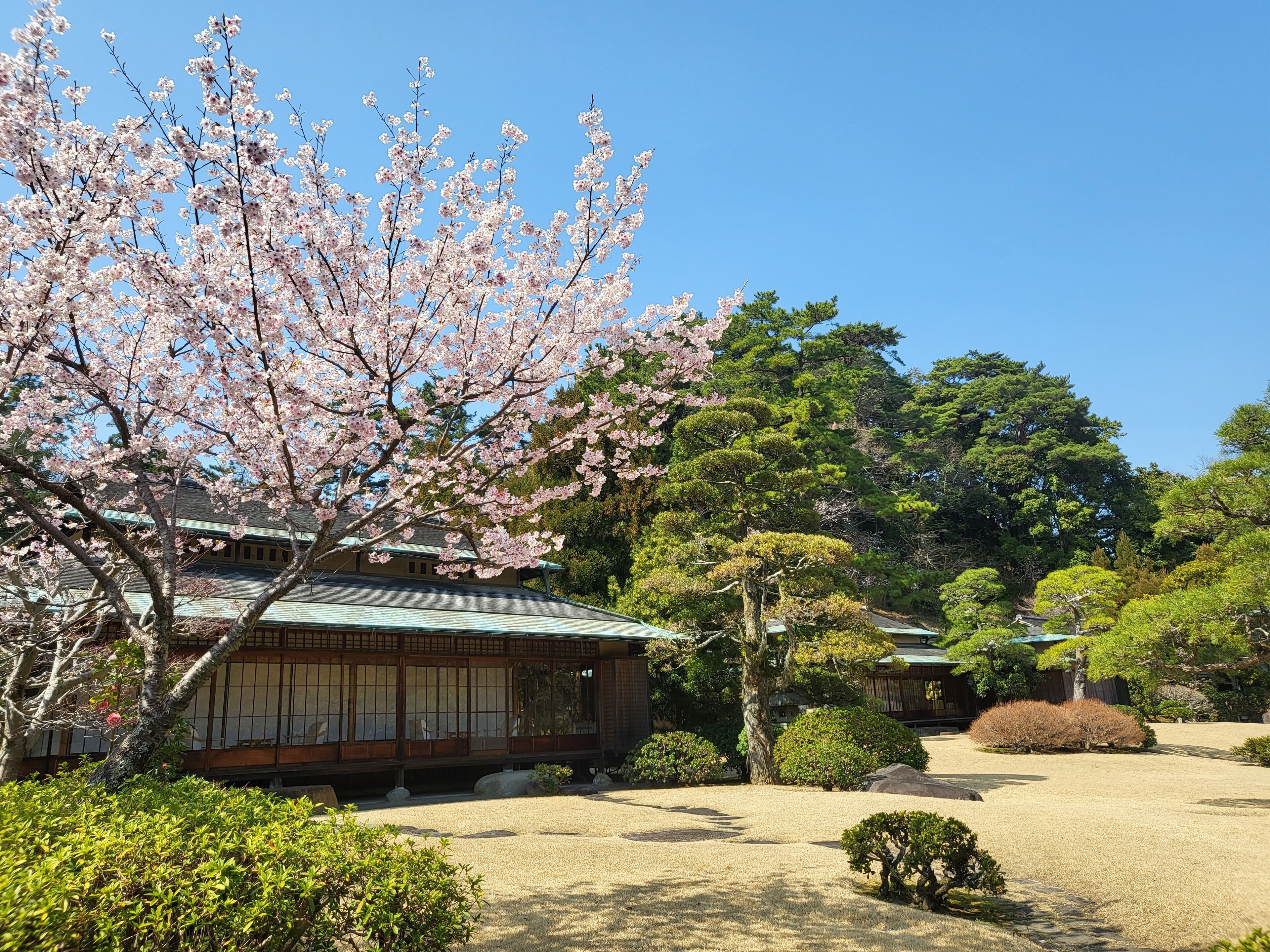 일본식 정원