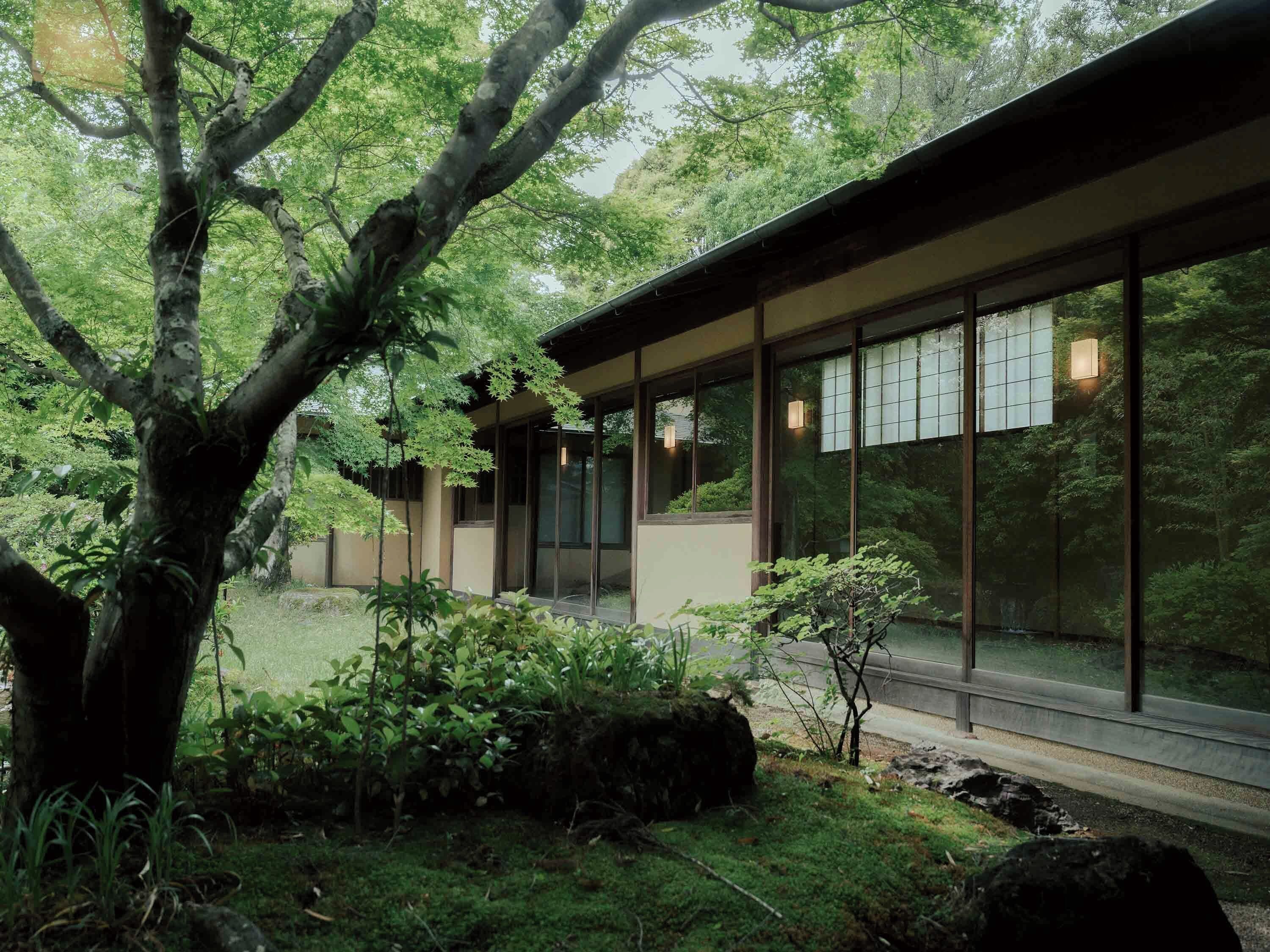 A modern building with large glass windows, surrounded by lush greenery and trees.