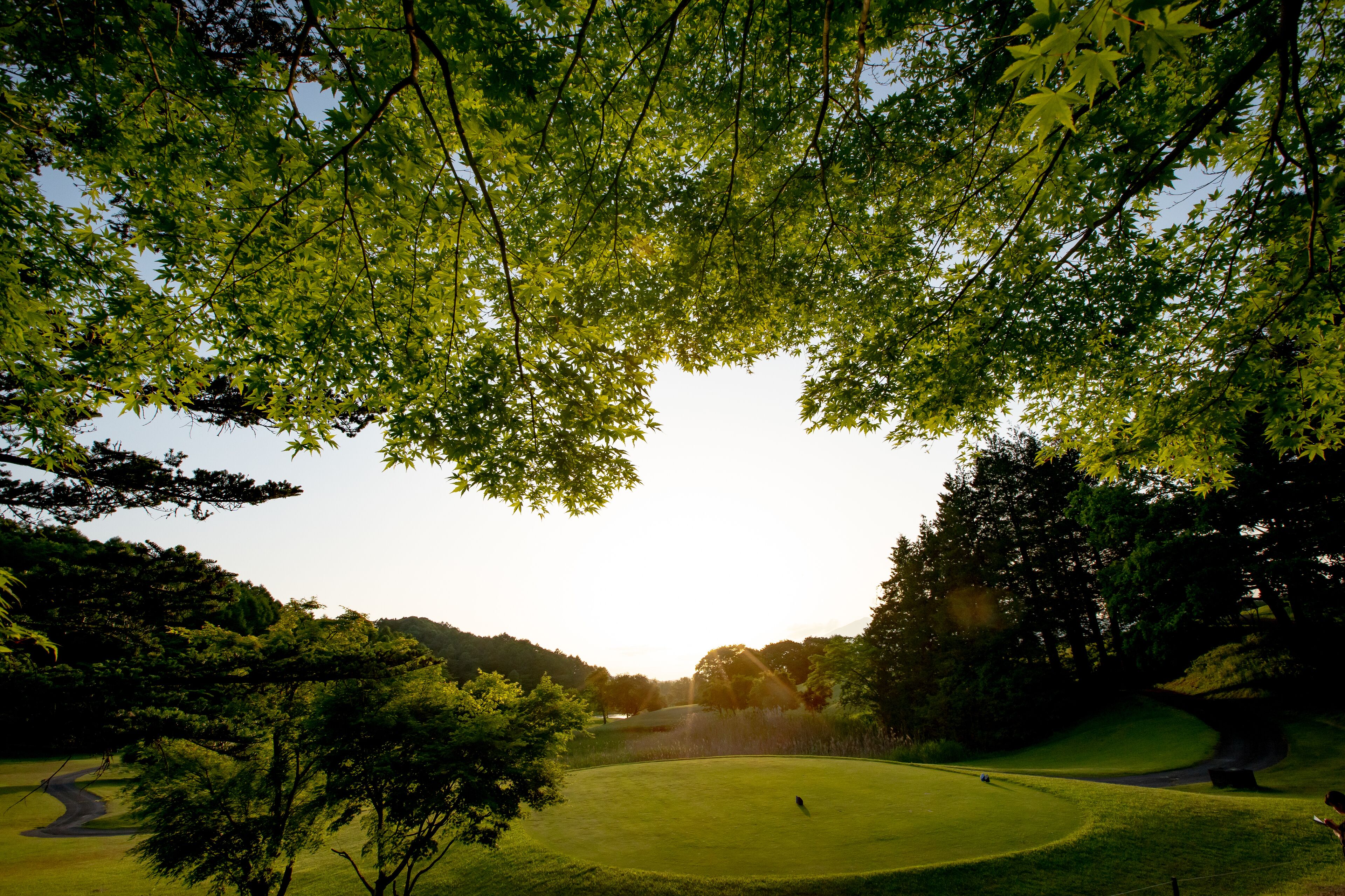 Golf