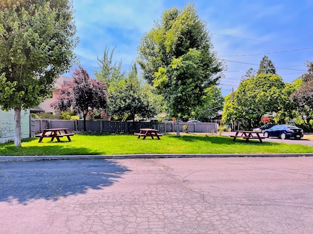 BBQ/picnic area