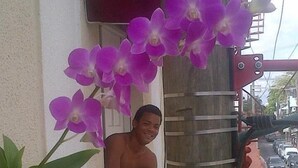 A person leaning on a building with purple orchids. - Adam Suites (Santo Domingo)