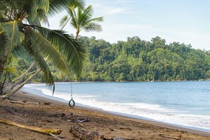 A beach with palm trees, a swing, and a forested hill in the background. - Poor Man's Paradise (Drake Bay)