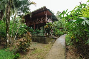 Una estructura de madera rústica con techo de paja, rodeada de exuberante vegetación tropical y un sendero de concreto que conduce a ella.