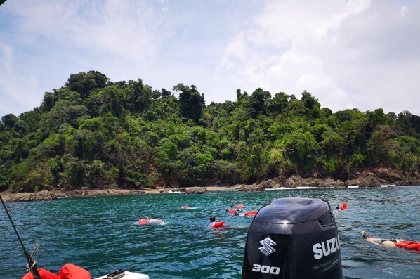 A boat with a Suzuki outboard motor on a body of water with swimmers and floating devices. - Poor Man's Paradise (Drake Bay)