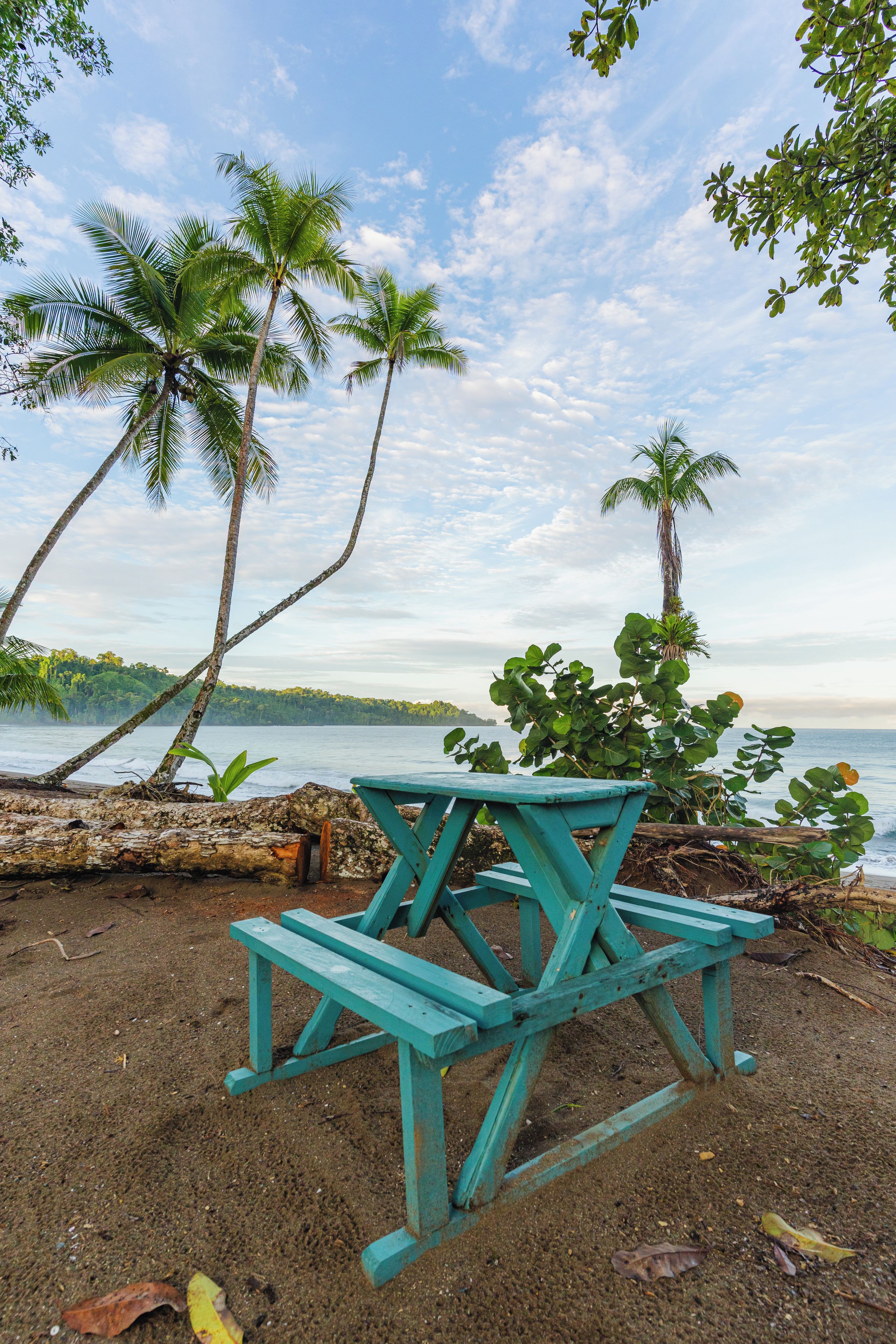 A picnic table on a sandy beach with palm trees and a view of the water.