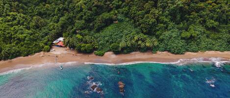 An aerial view of a beach with dense forest on one side and clear blue waters on the other.
